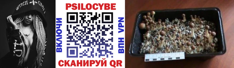 Галлюциногенные грибы Magic Shrooms  Купить  Алейск 